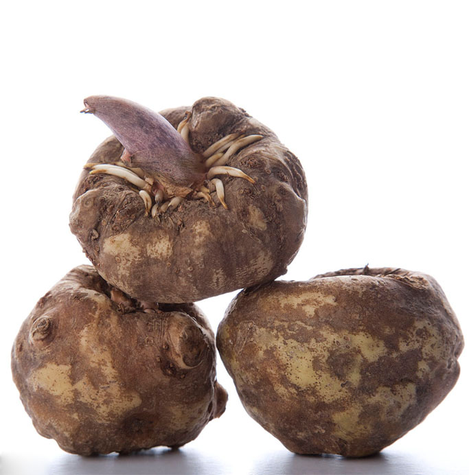 魔芋是什么？